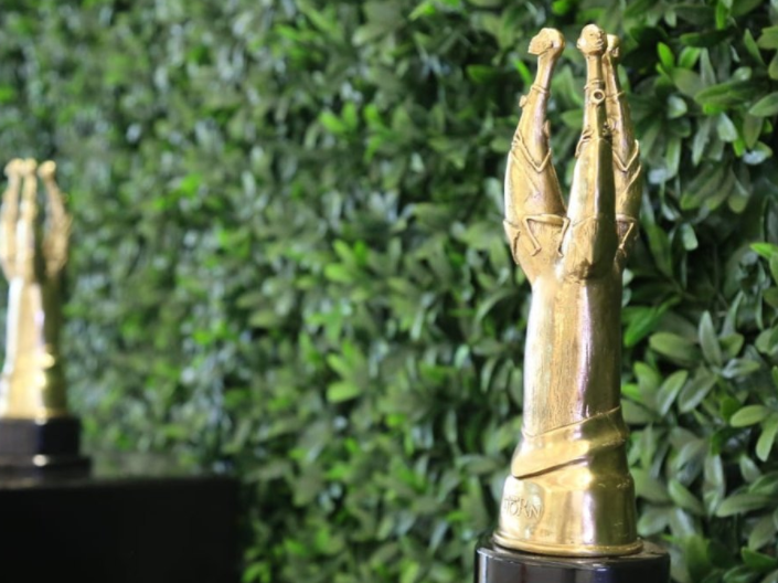 SAFTA 2017