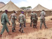SANDF