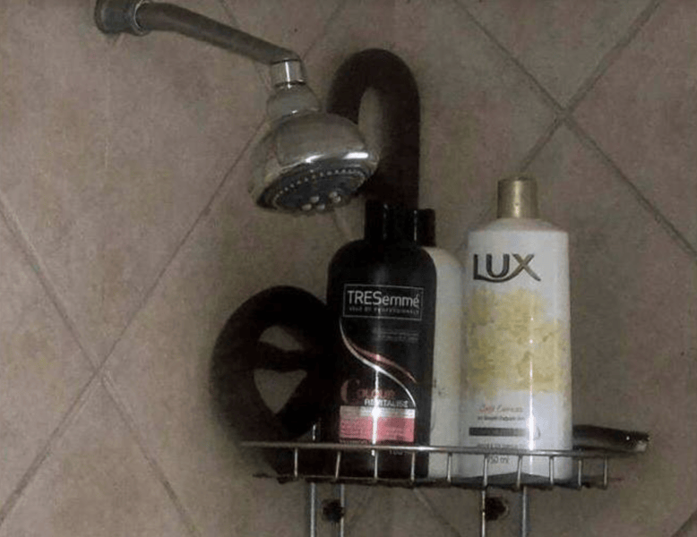 SNAKE HIDING IN SHOWER