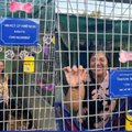 SPCA kennel sleepover 2025