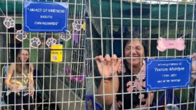 SPCA kennel sleepover 2025
