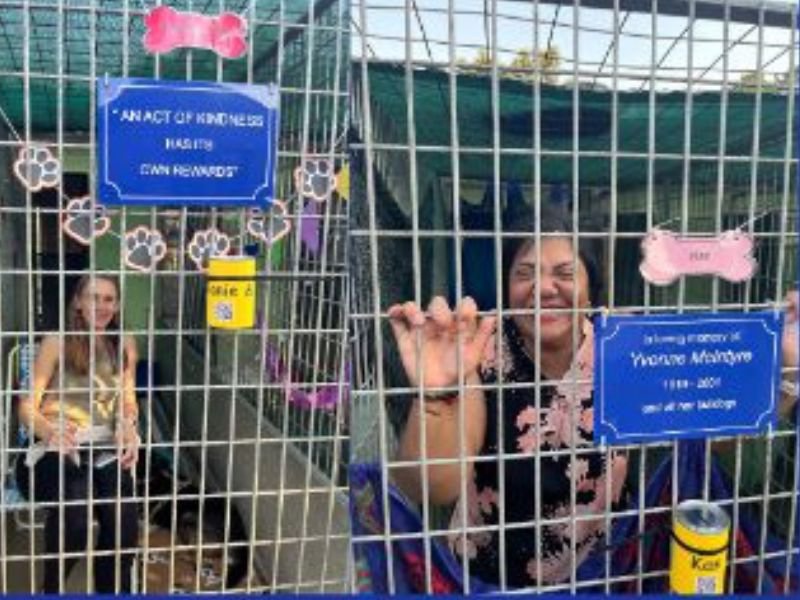 SPCA kennel sleepover 2025