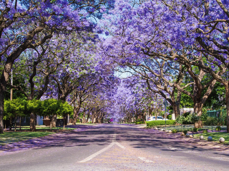 SUBURB_IN_SOUTH_AFRICA