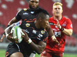 Sbu Nkosi Sharks