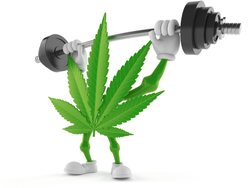 Would you like to get paid for exercising while stoned?