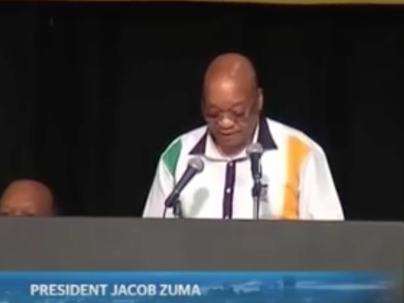 Jacob Zuma Max Hurell Video