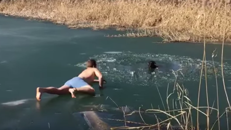 man falls in river to rescue dog