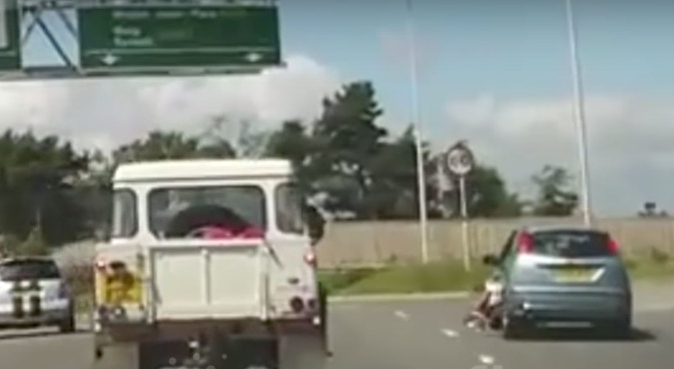 Dog falls out of a moving car's window