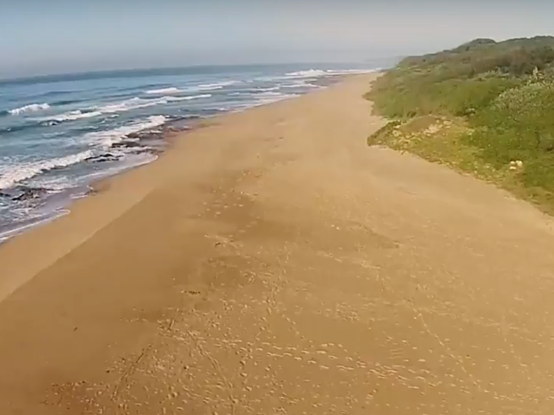 blythedale video