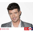 robin thicke vdj