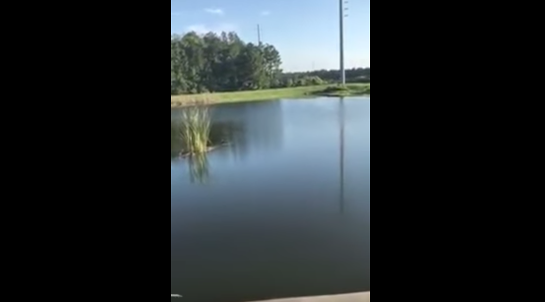 Hot air balloon lands in gator-infested pond near Disney World