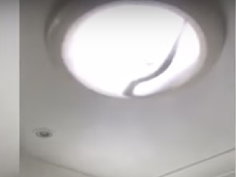 snake in light