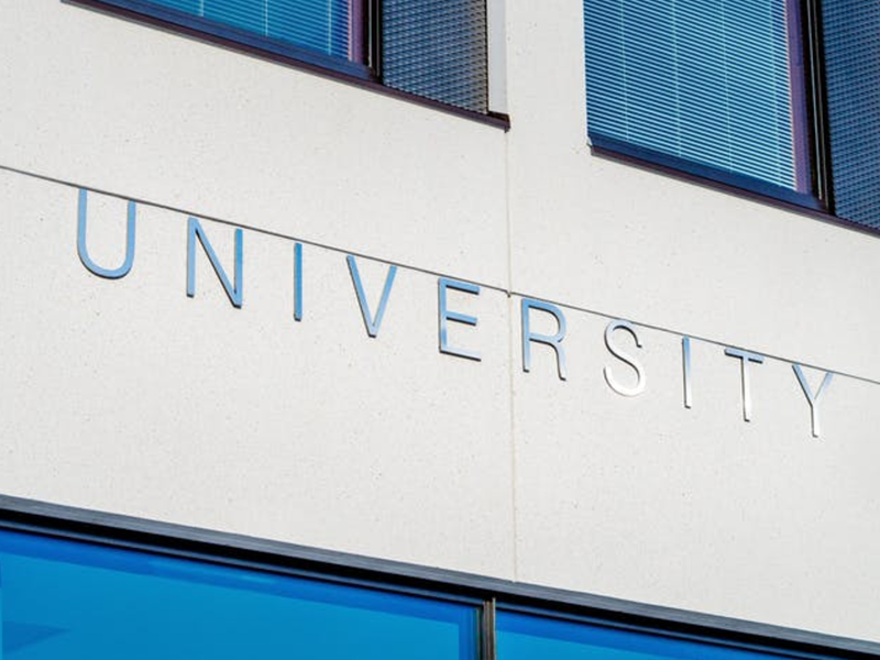 university pexels