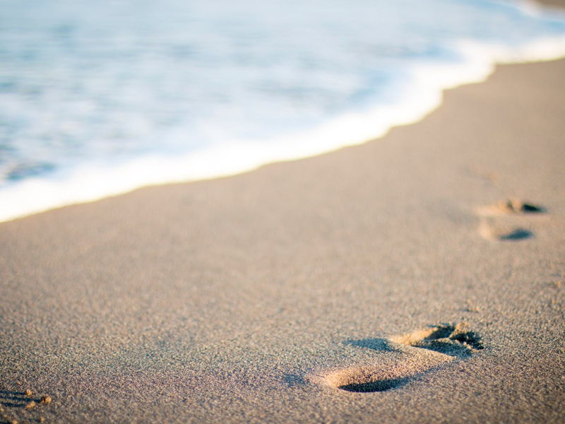 beaches and sand pexels