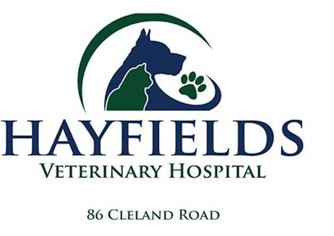 hayfields vet