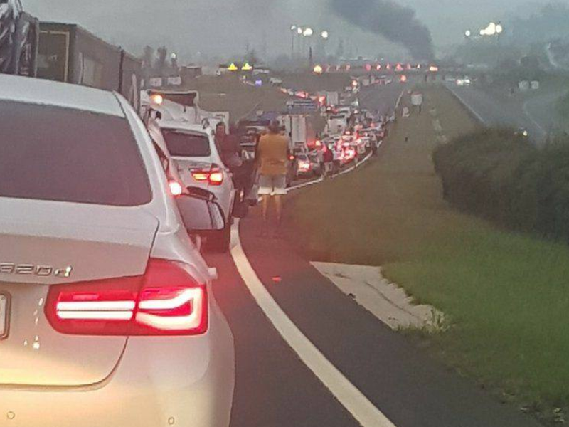 protest action n3