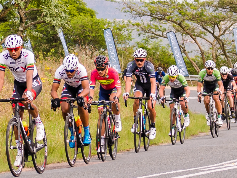 amashova 2018