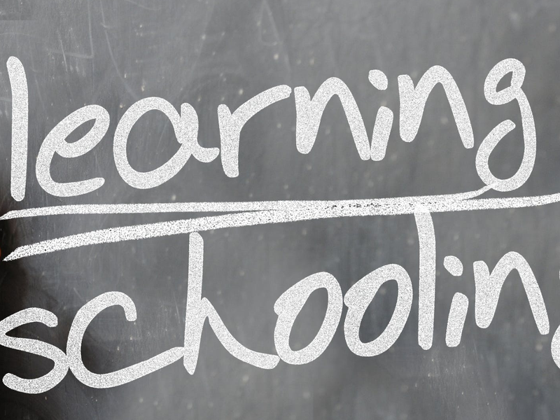learning schooling teaching pexels