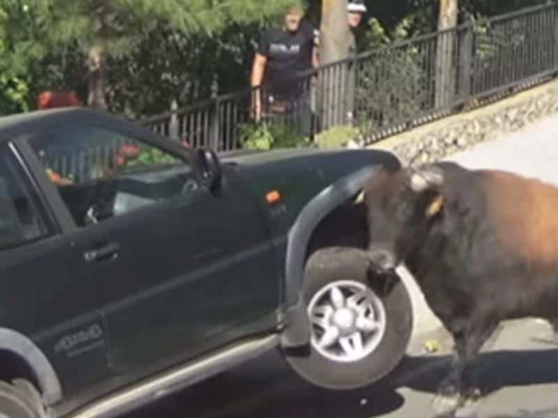 bull 4x4 youtube unilad