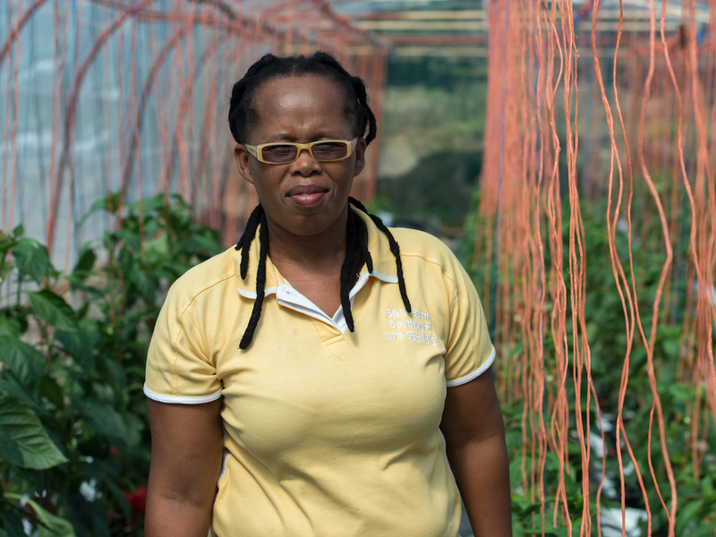 molefe nut growing