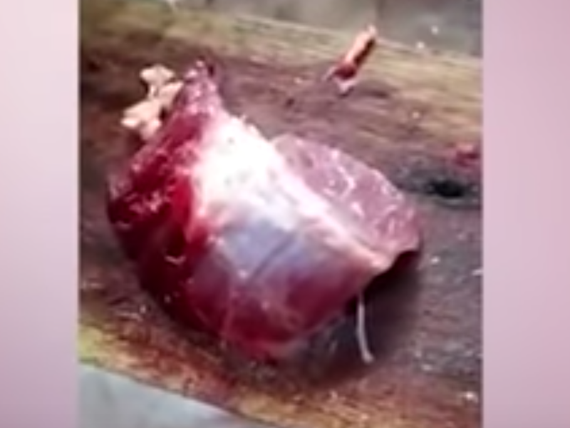 zombie meat pic youtube