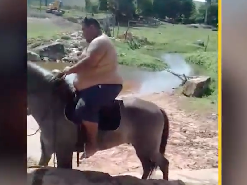 overweight man on horse