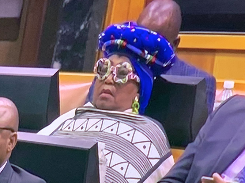 ANC MP Vatiswa Bam-Mugwanya at SONA 2019 / Twitter