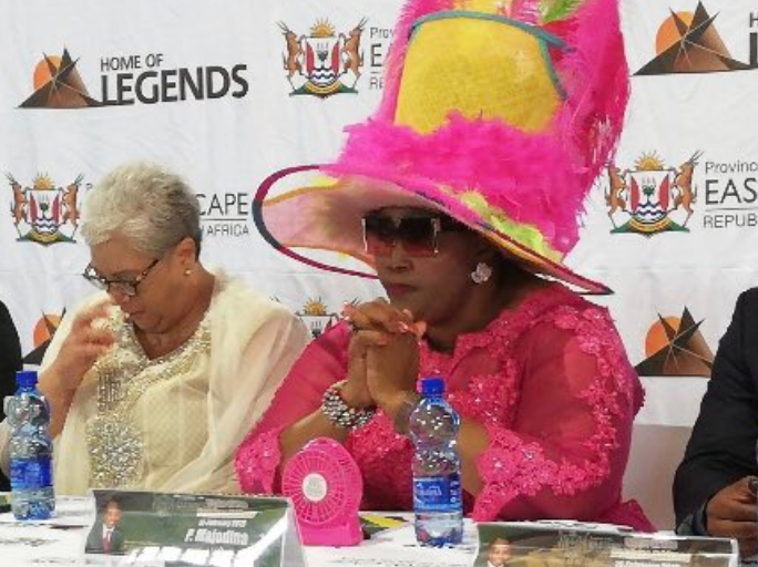 Eastern Cape MEC for public works Pemmy Majodina  / Twitter