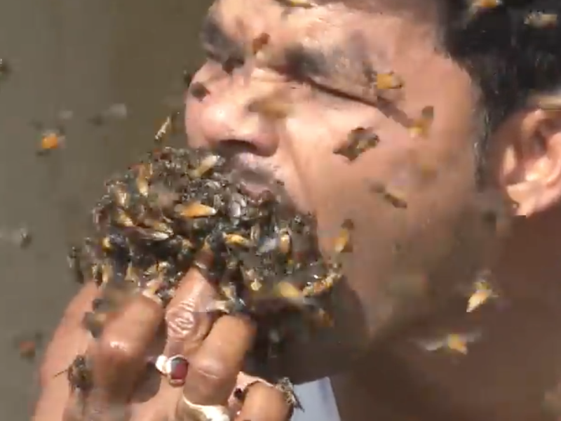 Man shoving bees into his mouth / New York Post