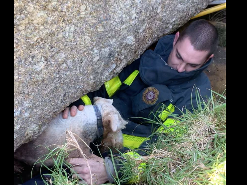 Cape Medical Response / Facebook