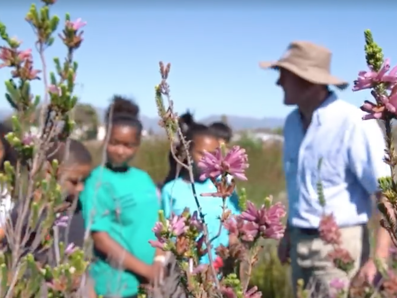 Biodiversity beautiful news
