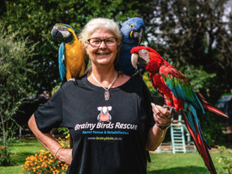 Bird rescue / Beautiful News