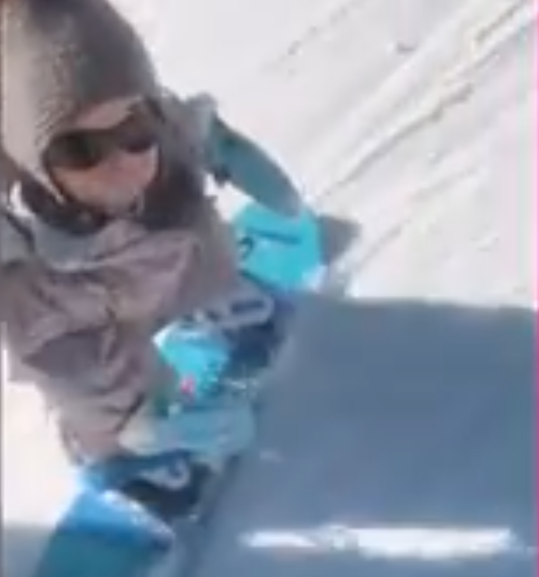 Toddler snowboards like a pro