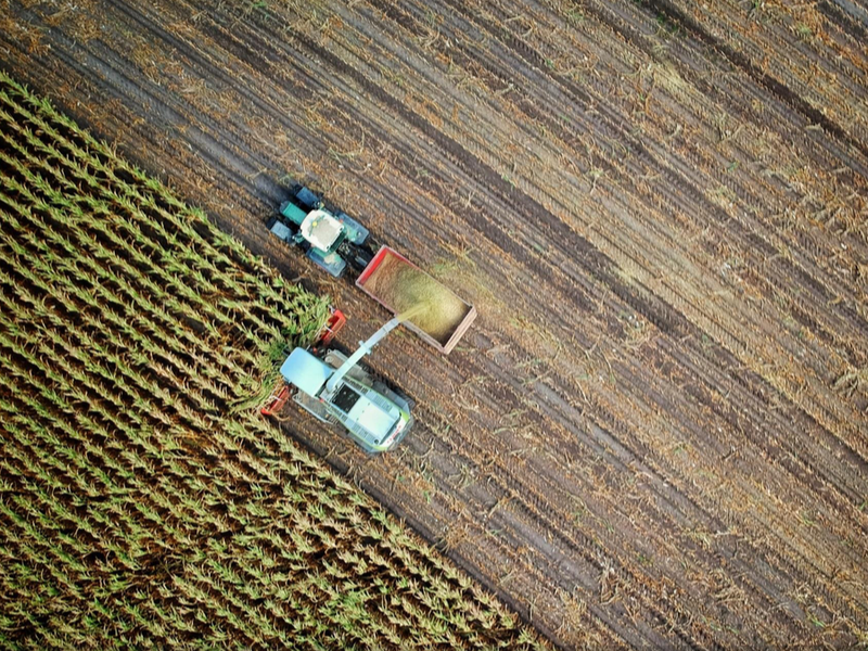 Farming