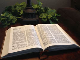 Bible