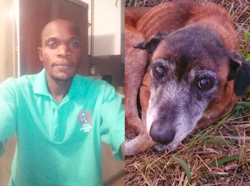 Gardener Helping Sick Dog