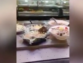 food lovers market rat