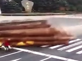 logs hit motorists