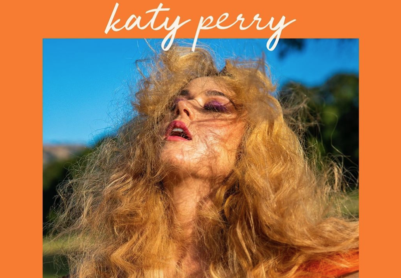 Katy Perry 'Never Really Over' / Instagram