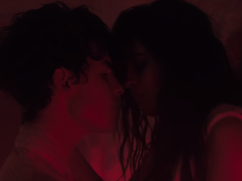 Shawn Mendes, Camila Cabello - Señorita / YouTube
