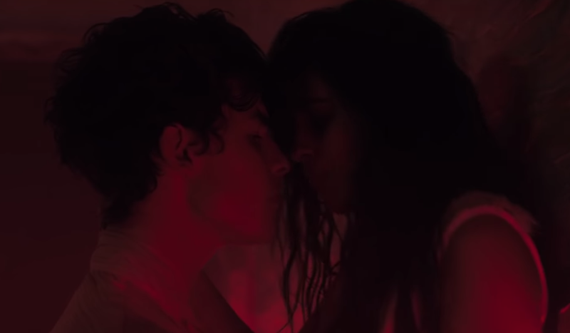 Shawn Mendes, Camila Cabello - Señorita / YouTube