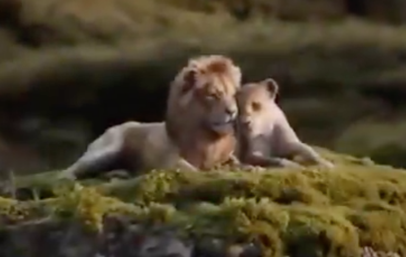 'The Lion King' trailer / Twitter