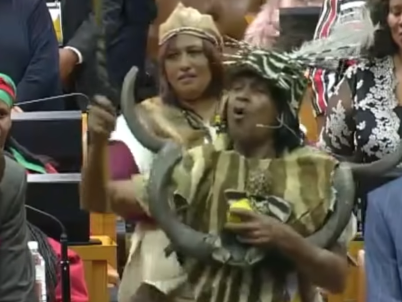Bradley Van Sitters in parliament / EWN Screenshot