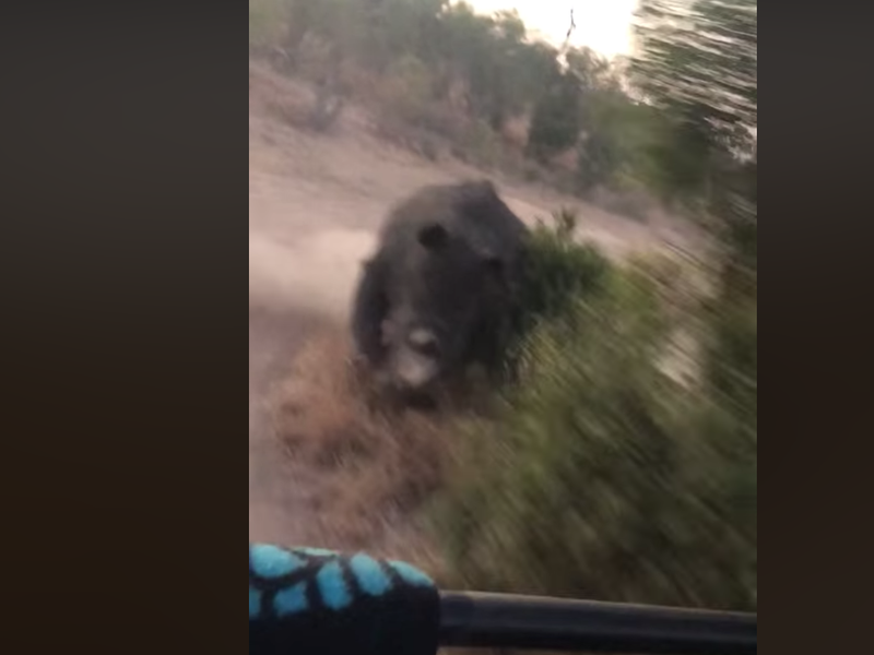 rhino charging