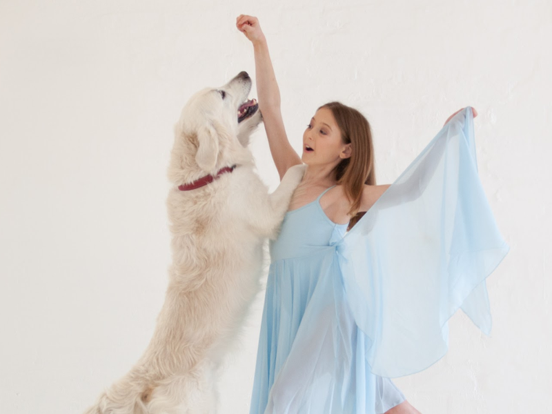 Dancing dogs beautiful news
