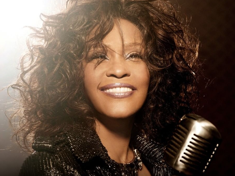 The Whitney Houston hologram / Instagram