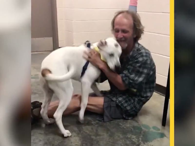 The heartwarming moment a homeless man reunites with his dog