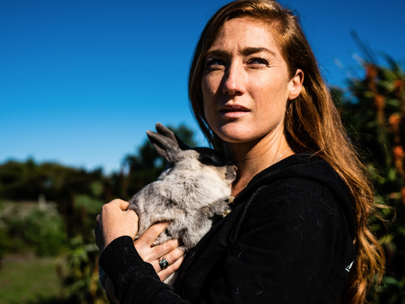 Rabbit rescue beautiful news