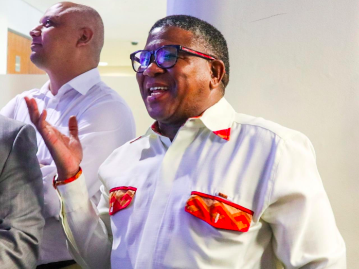 Fikile Mbalula