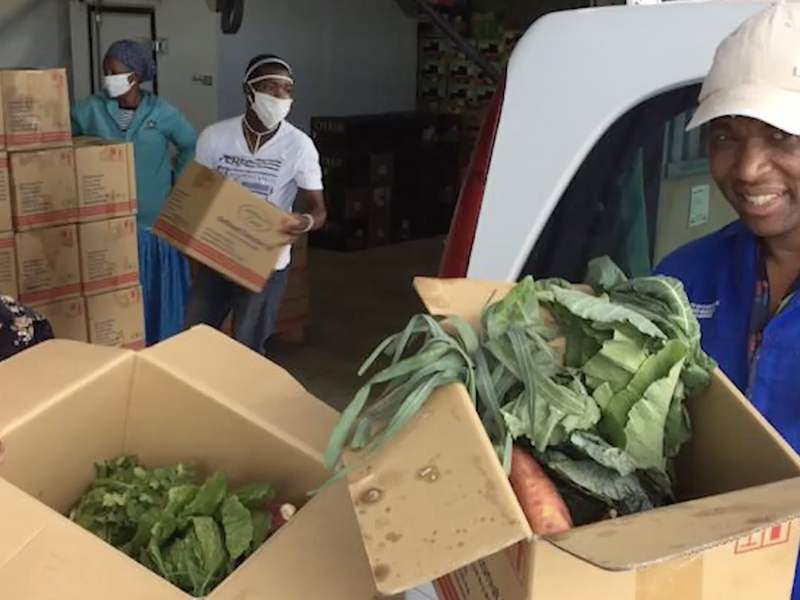 Beautiful News - Farming